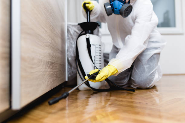 Best Affordable Pest Control Services  in Loma Ri, CA