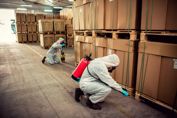 Best Pest Inspection Near Me  in Loma Ri, CA