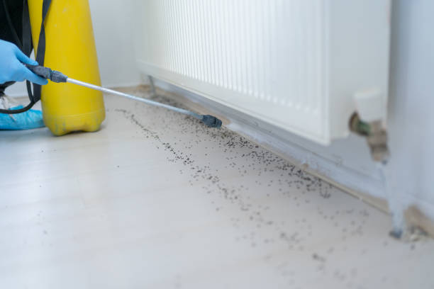 Pest Control Cost in Loma Rica, CA