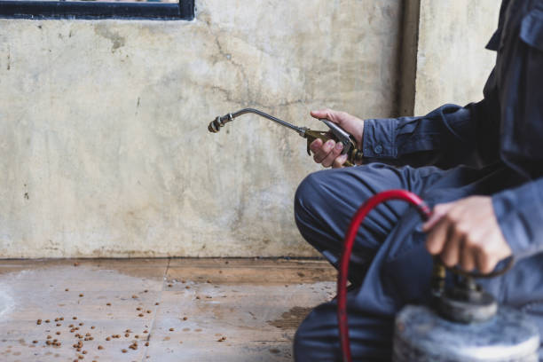 Best Exterminator Services  in Loma Ri, CA